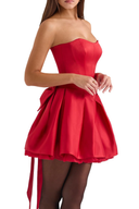 Salome Corset Strapless Mini Dress